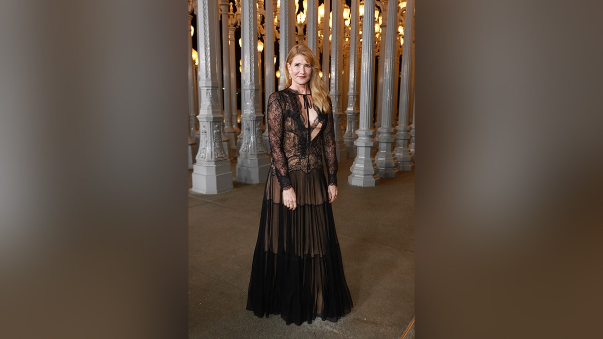 Laura Dern in a flowy sheer black gown at the LACMA Art+Film Gala