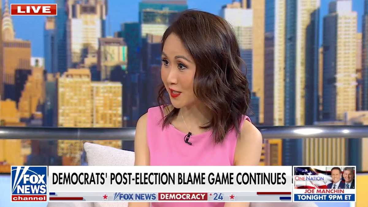 Lindy Li on the Fox News show