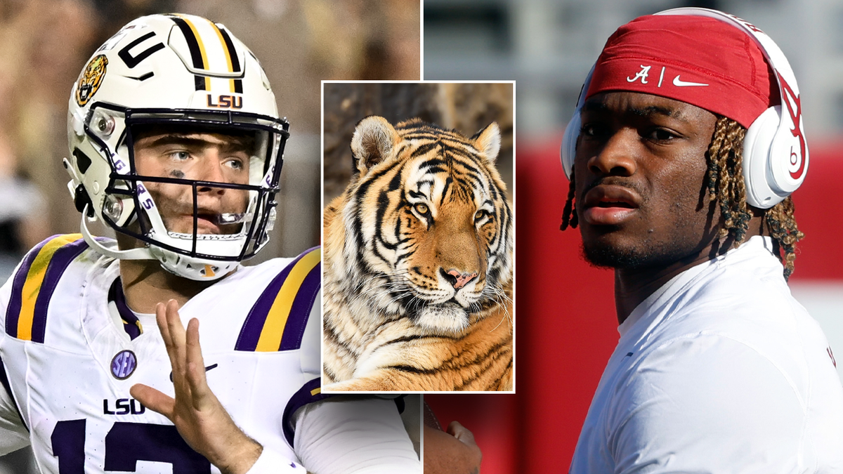 LSU and Alabama quarterbacks with a tiger