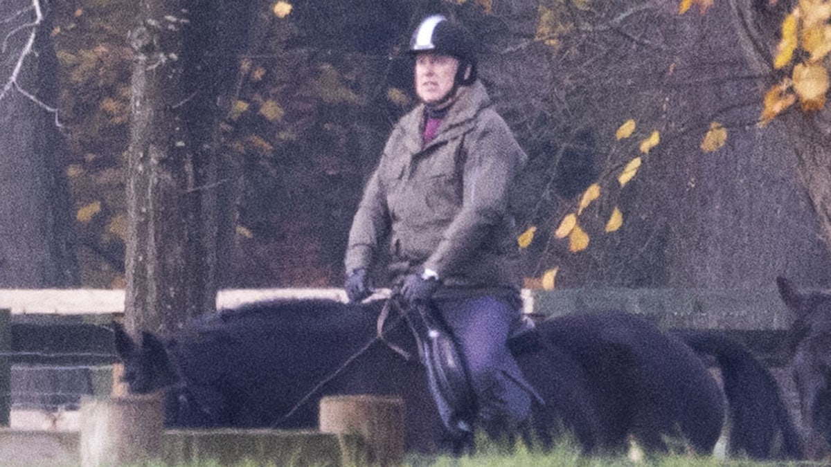 Prince Andrew riding a horse and wearing a green coat with a black hat and blue pants.