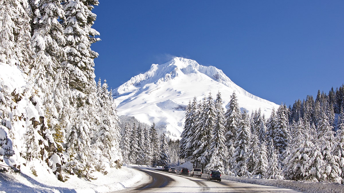 Mount Hood National Forest in the winter