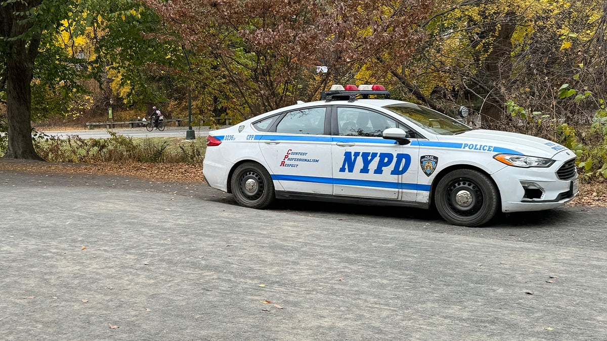 Crucero de la policía de Nueva York