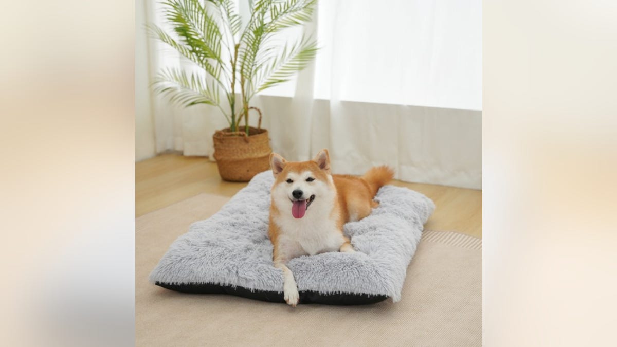 Your dog is sure to be comfy in this bed. 