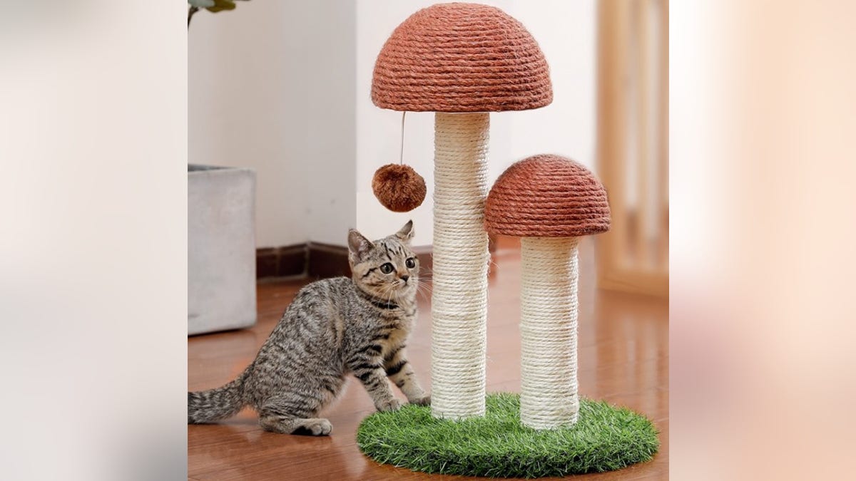 This mushroom is an adorable addition to your cat's scratching posts. 