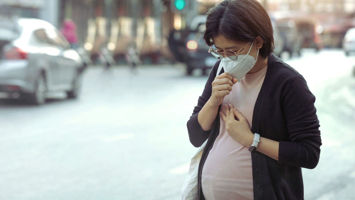 Pregnant woman pollution