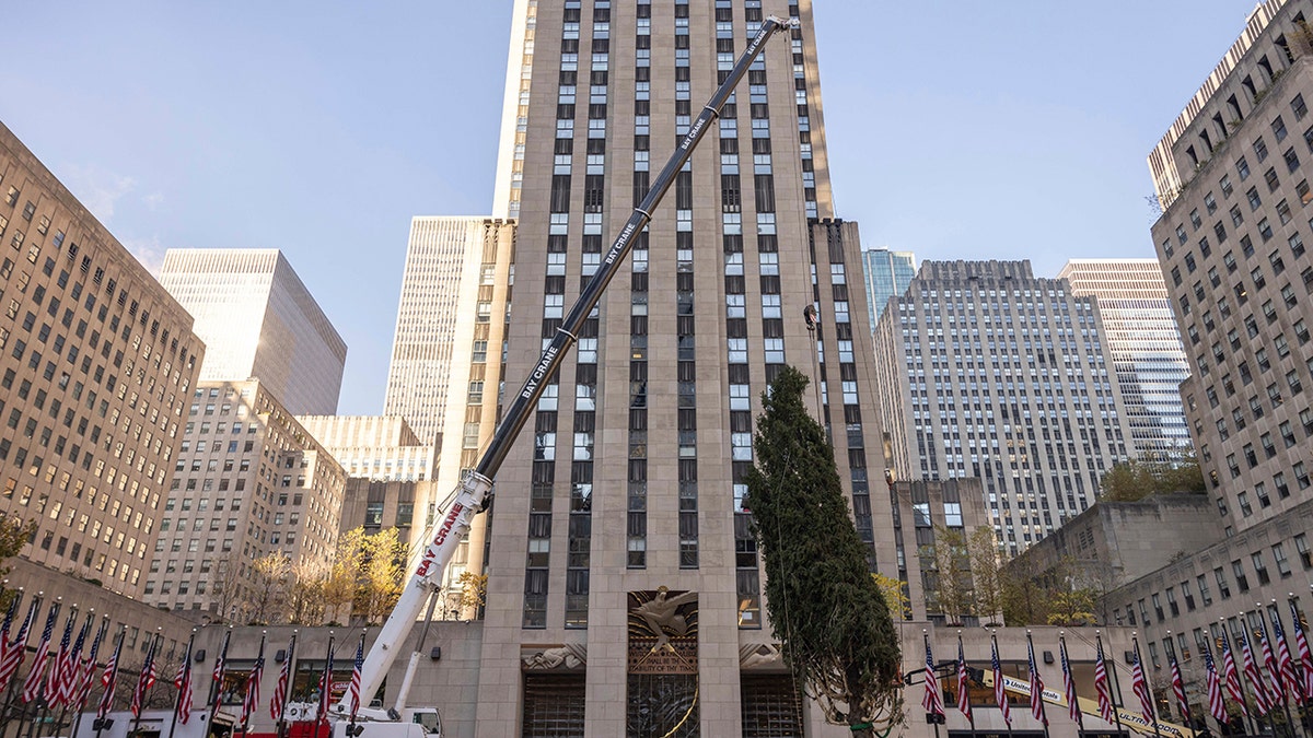 Rockefeller-Center-Christmas-Tree