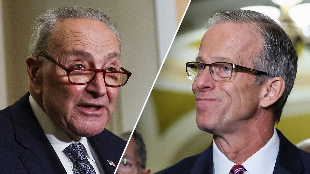 Chuck Schumer và John Thune