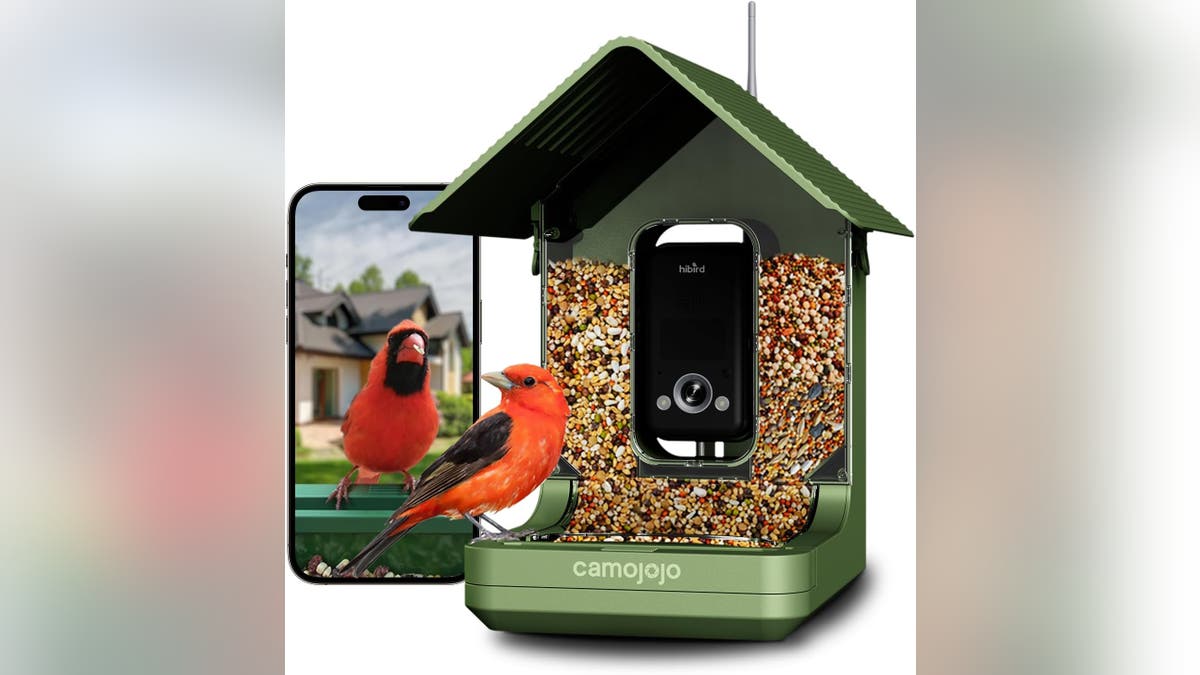 Get up close to birds with this gear.