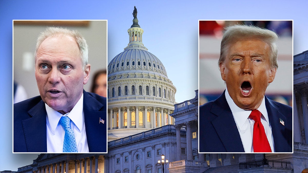 Donald Trump and Steve Scalise