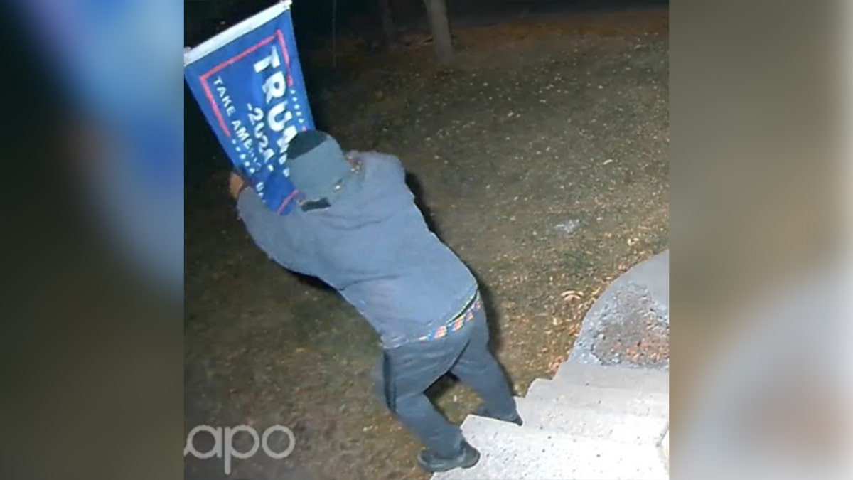 Man rips down Trump flag in Logan, Utah