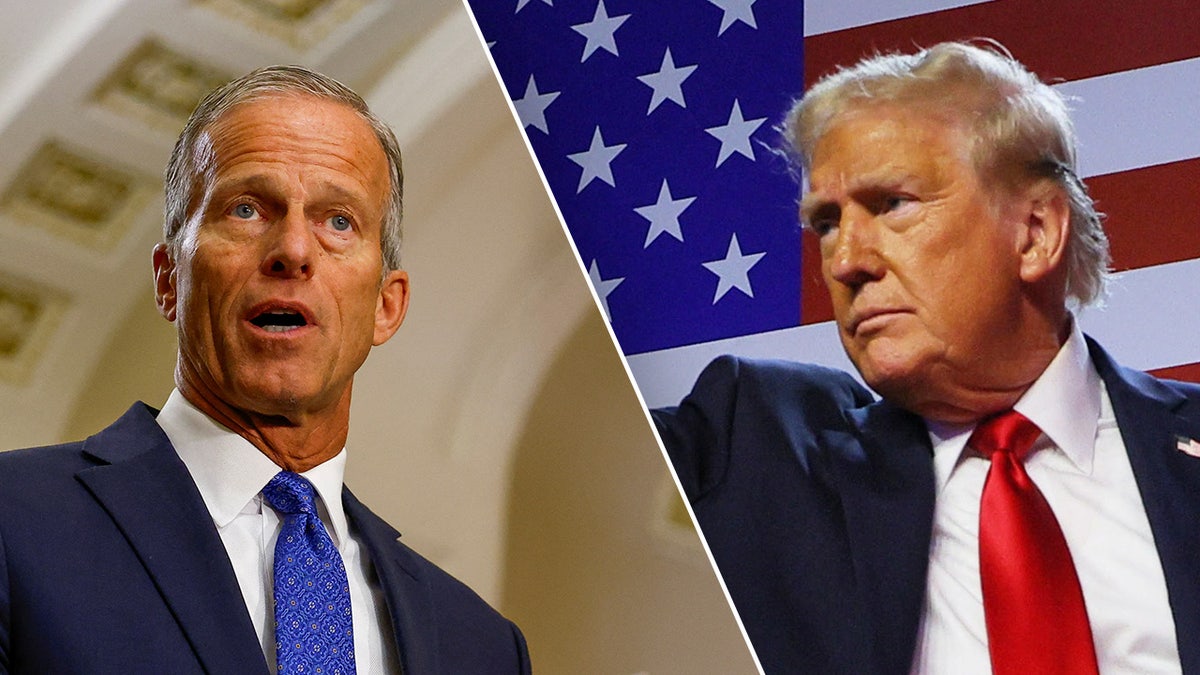 John Thune, Donald Trump