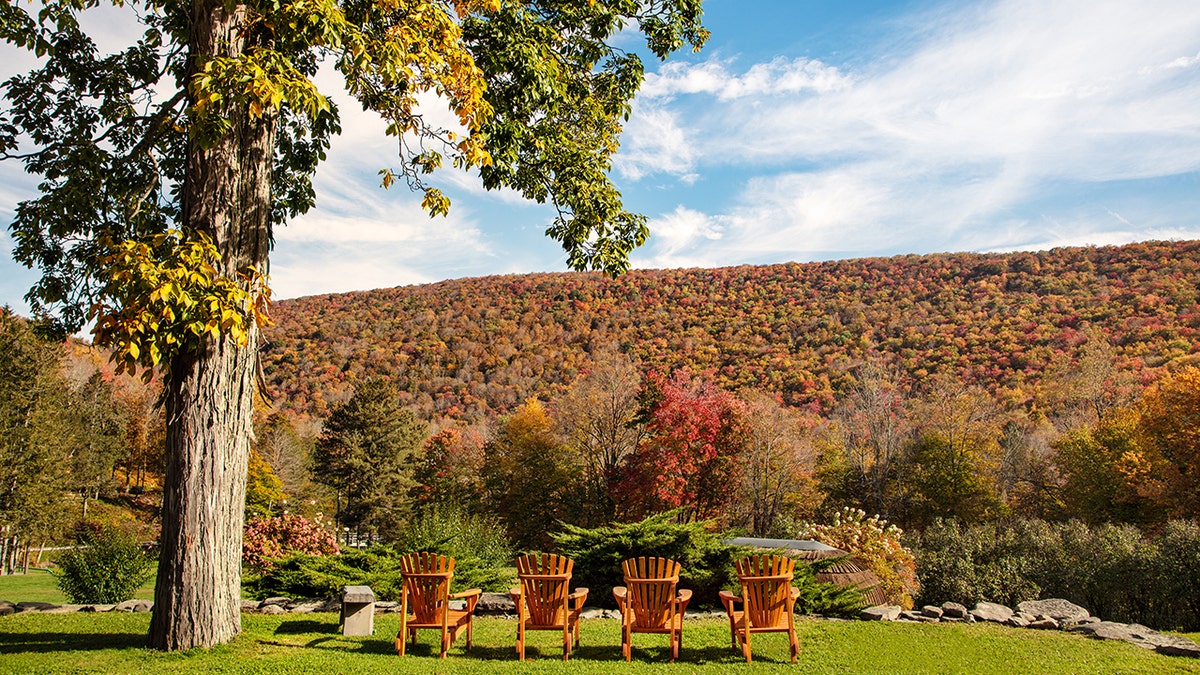 Urban Cowboy Lodge
Catskills