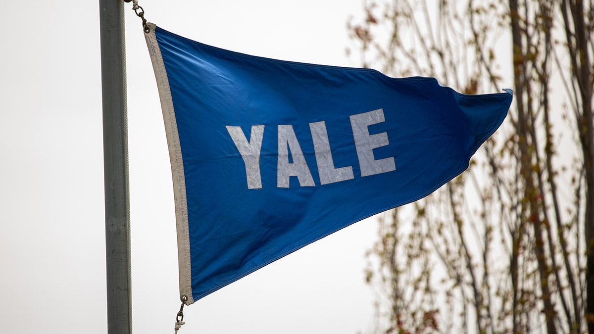 Yale University flag