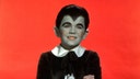 'Eddie Munster' got into showbiz by accident thanks to his sister