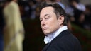 Elon Musk's pro-Trump stance causes progressives to flee X for liberal safe space