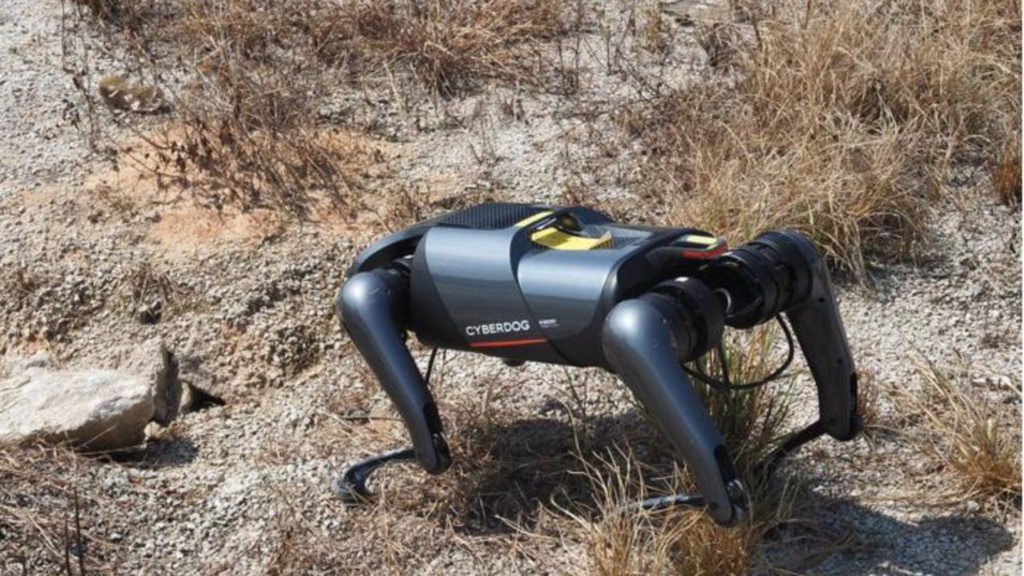 AI-Powered Robot Dogs: The Future of Invasive Ant Control