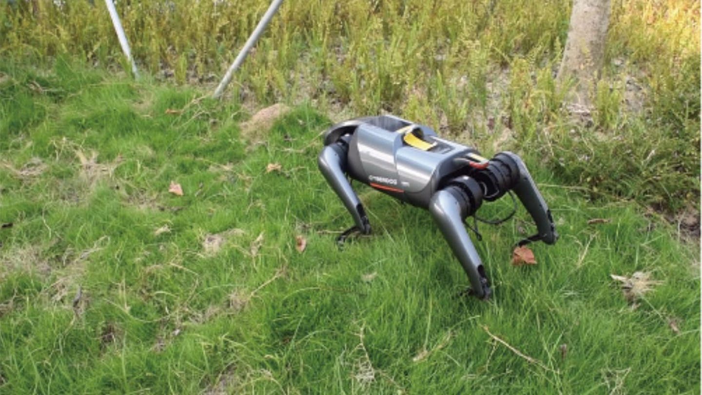 2 ai powered dog robot sniffs out invasive fire ants