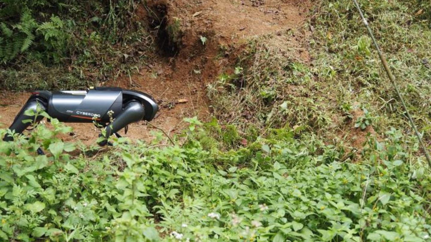 3 ai powered dog robot sniffs out invasive fire ants