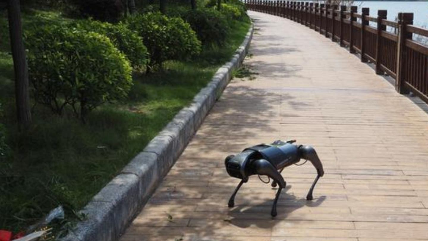 5 ai powered dog robot sniffs out invasive fire ants