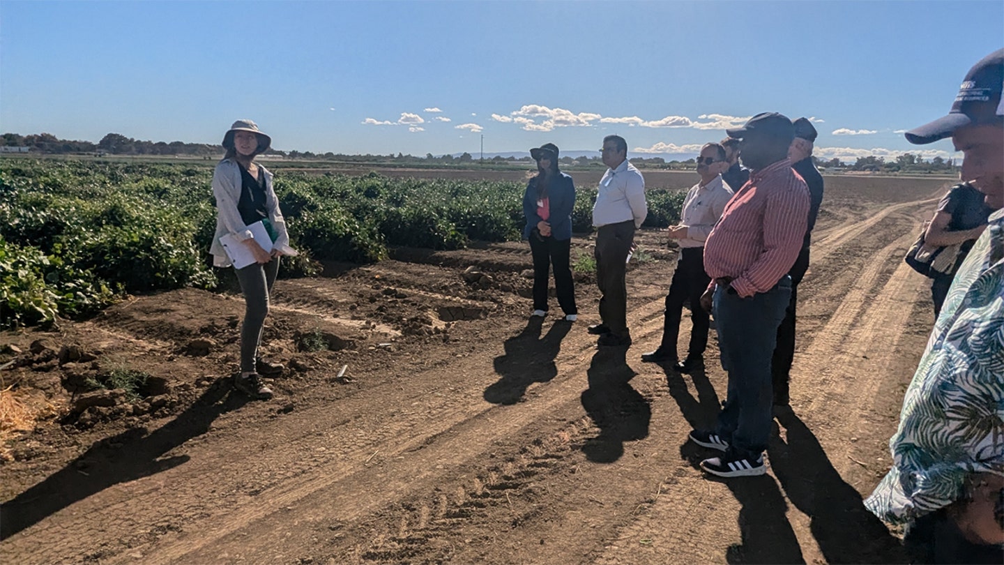 aifs touring bean test fields crop breeding