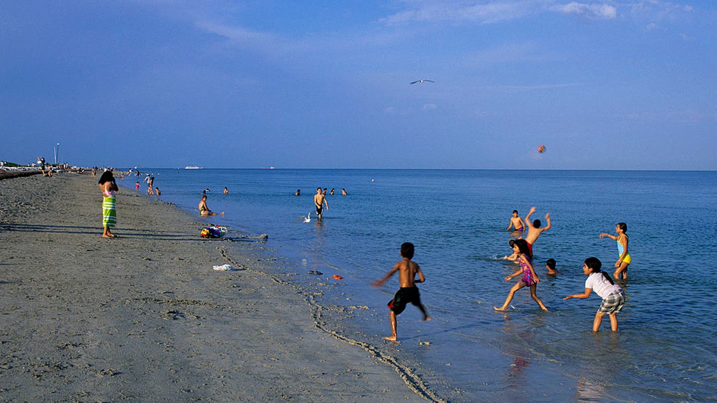 Human Head Washes Ashore at South Florida Beach, Investigation Underway