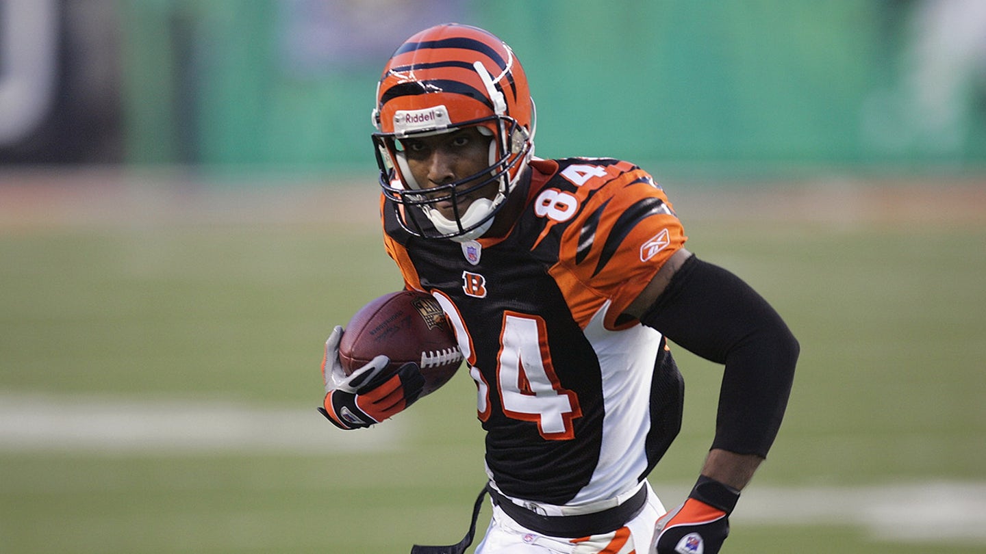 Bengals' TJ Houshmandzadeh: Excitement Not There Until We Beat Good Teams