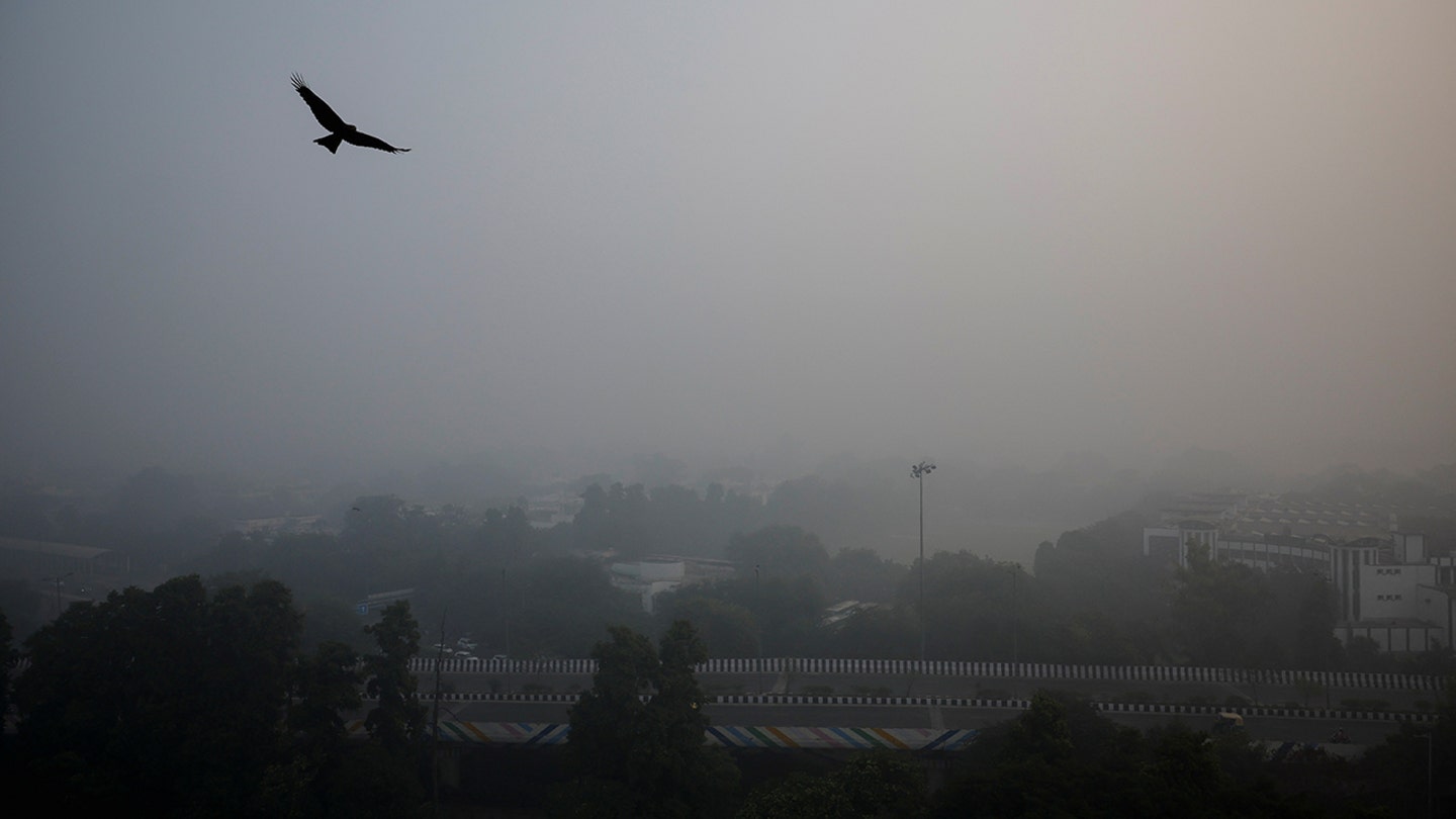 New Delhi Battles Crippling Air Pollution, Implements Strict Measures