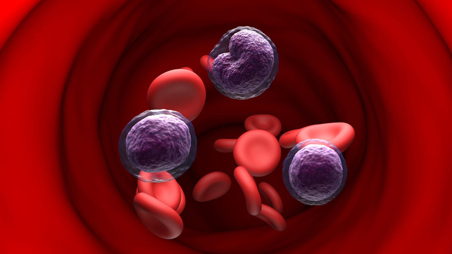 nhl cells