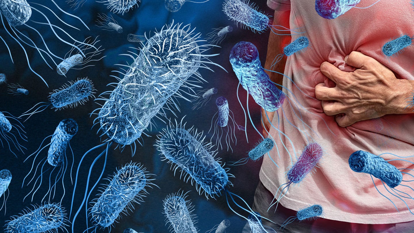 salmonella