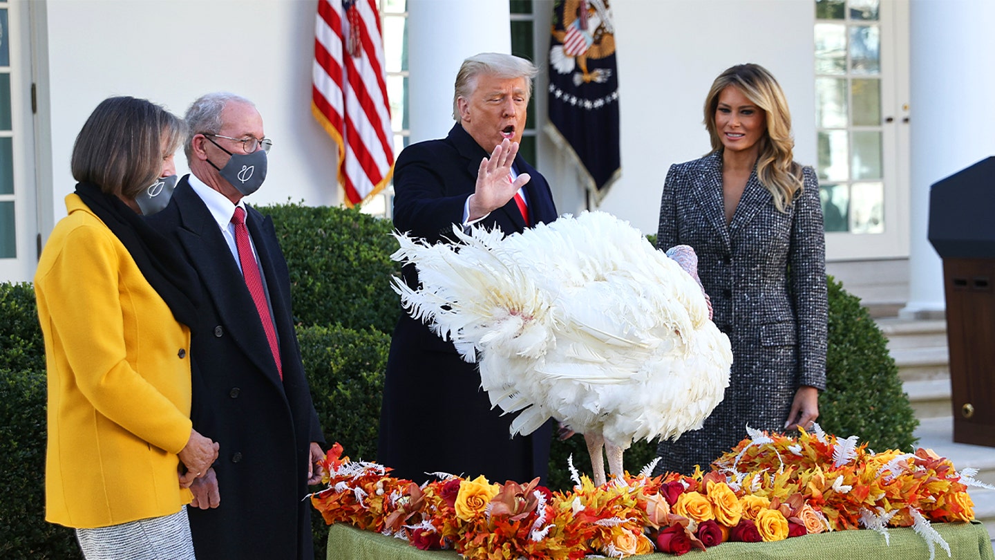 trump turkey