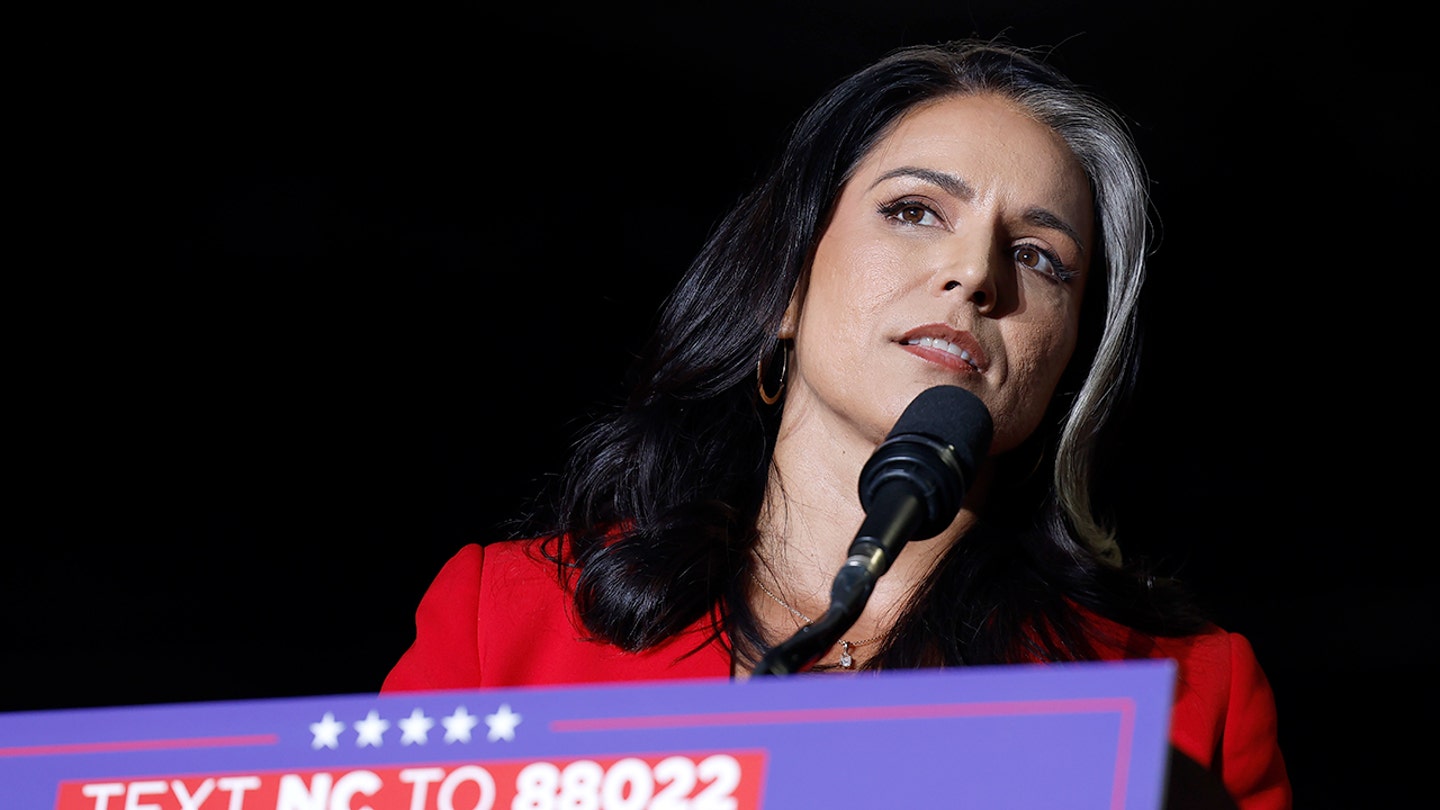 Gabbard's DNI Appointment Sparks Controversy Among Democrats