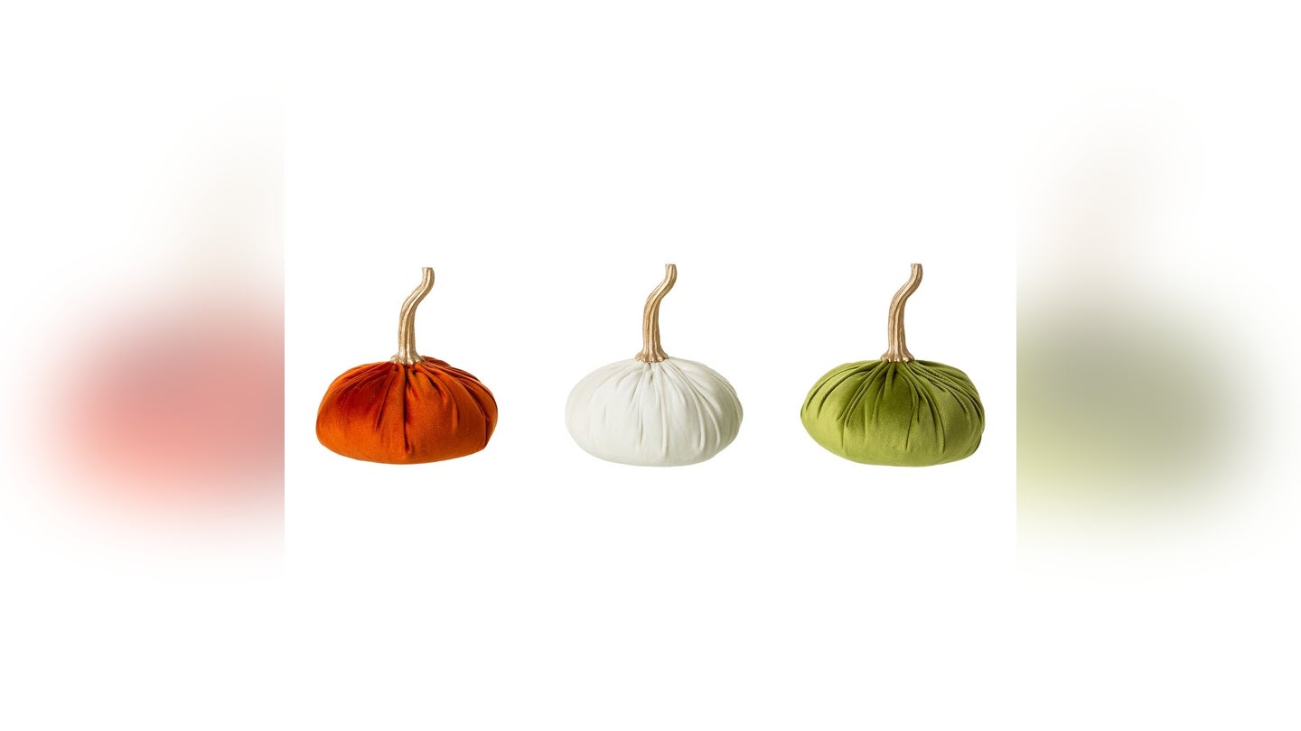 velvet pumpkins