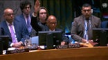 USUN Ambassador Robert Wood votes against, and vetoes a draft resolution on Israel at the U.N. Security Council. November 20, 2024