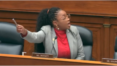 Democratic lawmaker rants about 'the White man' during a hearing on the Dismantle DEI Act
