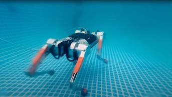 Robot dog is making waves with its underwater skills - Fox News
