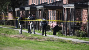 Gangs surge in swing state as street thugs become more sophisticated, experts say - Fox News