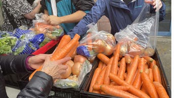 Swing state food banks stretched thin as cost-of-living crisis creates crushing demand: 'Never seen this' - Fox News