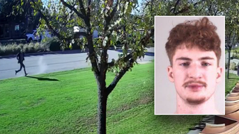 Wrong-way driver arrested after striking multiple vehicles, shootout with police officer - Fox News