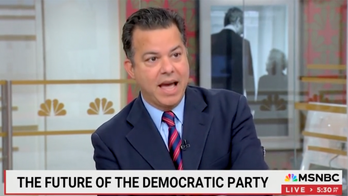 Ex-CNN anchor who ran for Congress says Democrats have become 'party of the status quo'