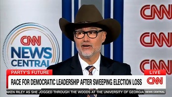 Democratic strategist hints at running to lead the DNC in order to make 'Democrats fun again'