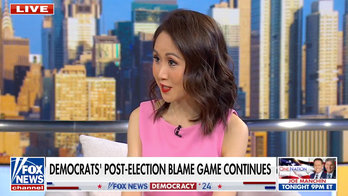 Harris surrogate gives firsthand account of the ‘epic disaster’ of election night loss to Trump