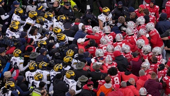 Police justified in use of pepper spray during Ohio State-Michigan brawl: report