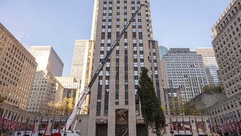 Haul out the holly! Rockefeller Center Christmas tree arrives in New York City