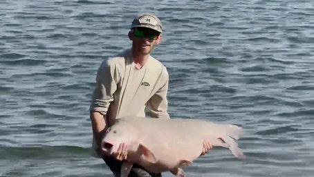 Monster 68-pound fish caught and released in Texas