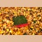 10 essential items for fall lawn care to keep your yard leaf-free