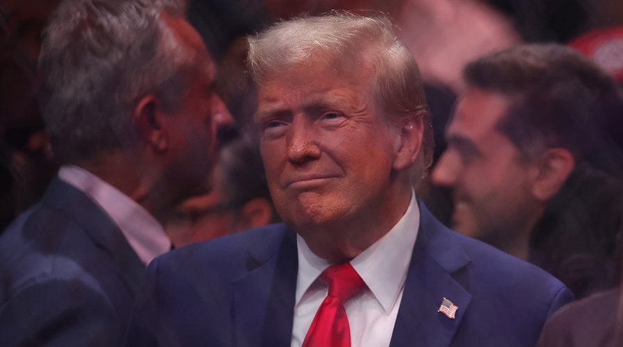 Trump met with massive cheers at UFC fight in MSG: ‘This was a moment’