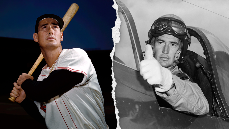 ted williams veterans day