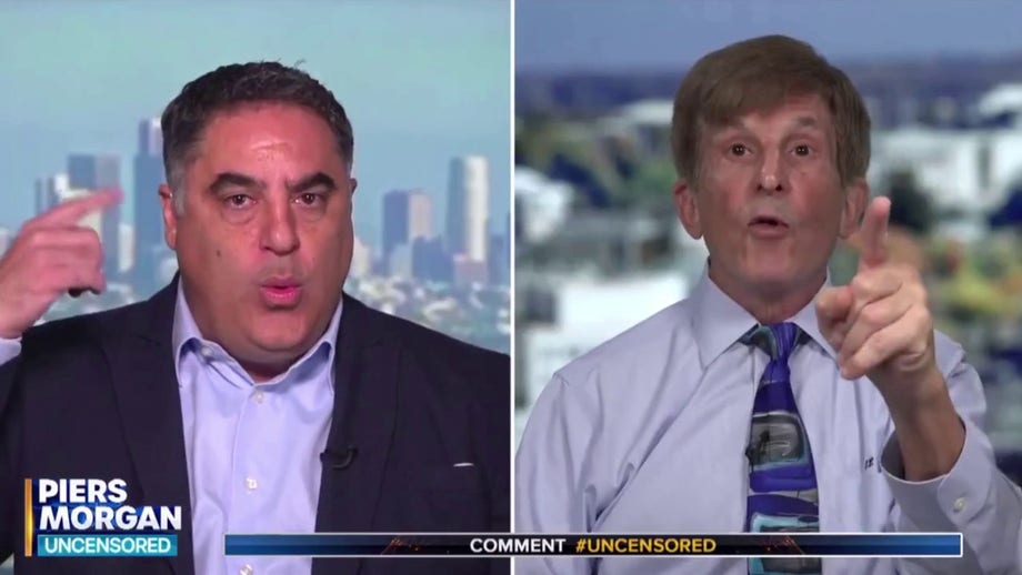 Left-wing pundit blasts 'stupidly wrong' historian in on-air clash