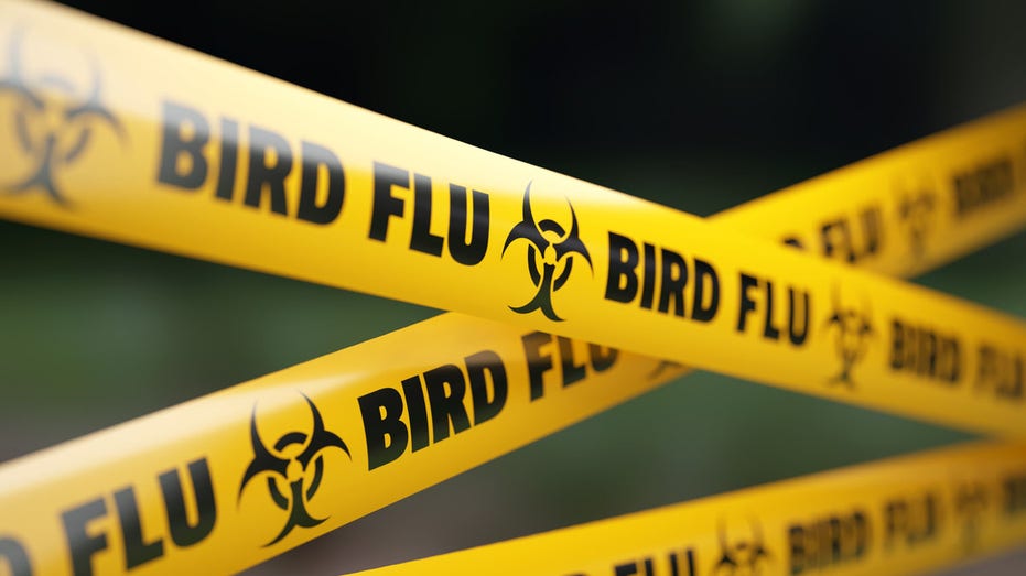 Human bird flu case presumed in Canada, teenage patient is hospitalized