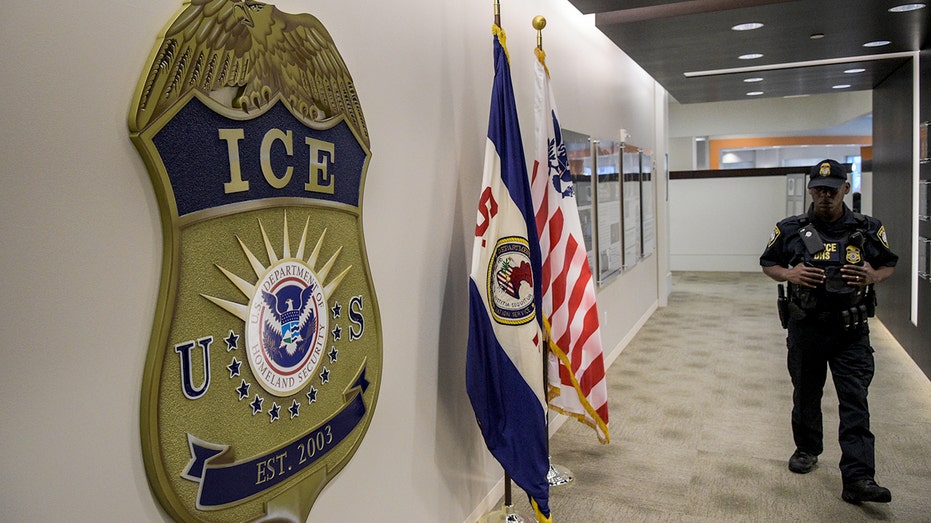Federal agents nab 1,000+ illegal aliens in major Illinois sweep: ‘Making the state safe again’